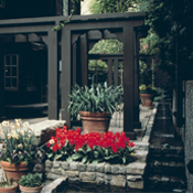Capitol Hill Residence